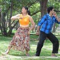 Vazhi Vidu Kanne Vazhi Vidu Movie Hot Stills | Picture 110140